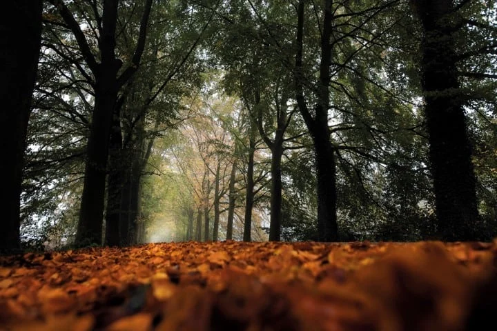 Marienwaerdt_001 (Small)