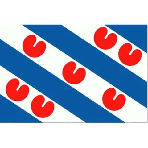 frysland vlag (Small)