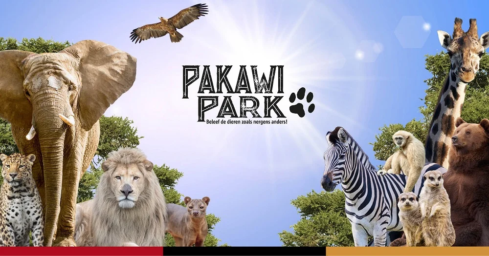 FB23_BASIS_LINK-FOTO-1200x630-1 2