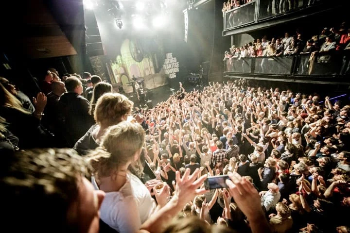 Paard_van_Troje_03 (Small)