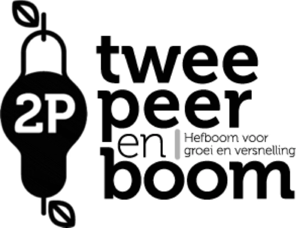 2P_logo_volledig-horizontaal (Middel)