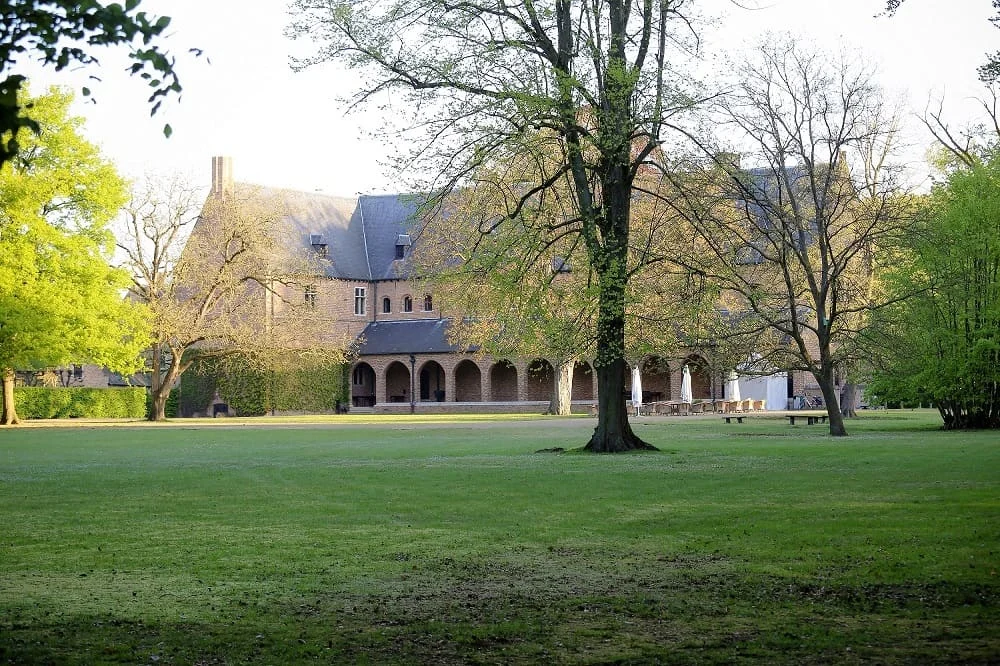 IMG_4381-3 Hoofdfoto