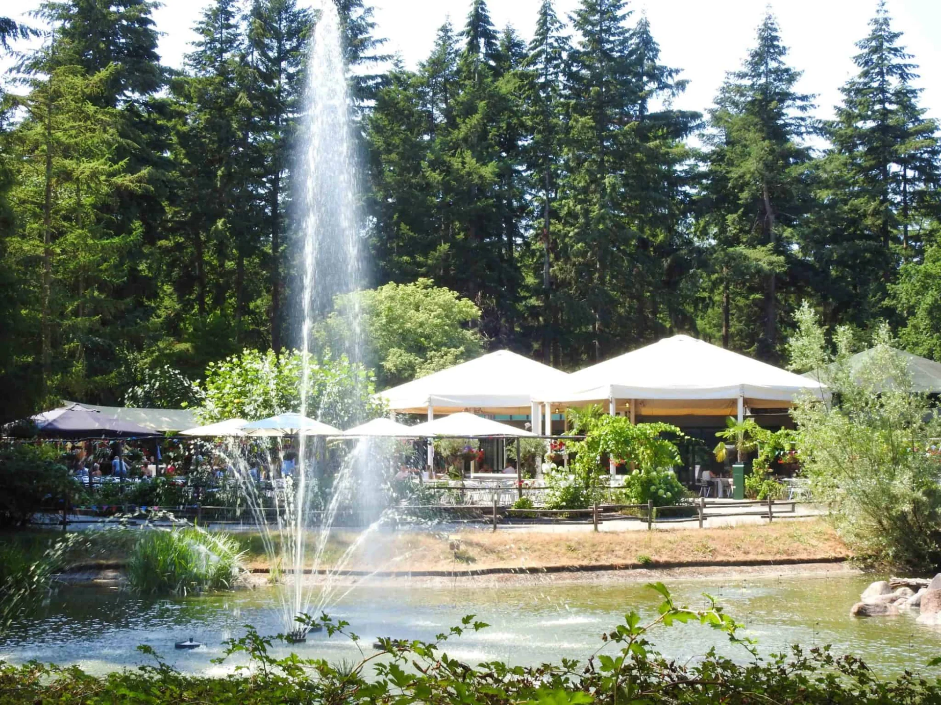 Vergaderen-2048x1536