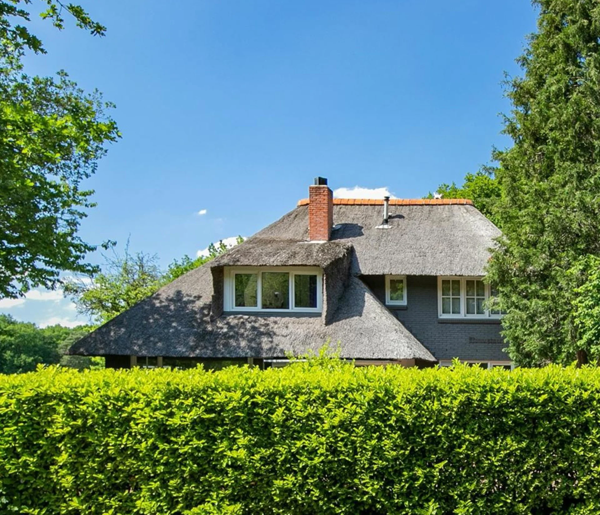 thumbnail_Dewittekater-300dpi