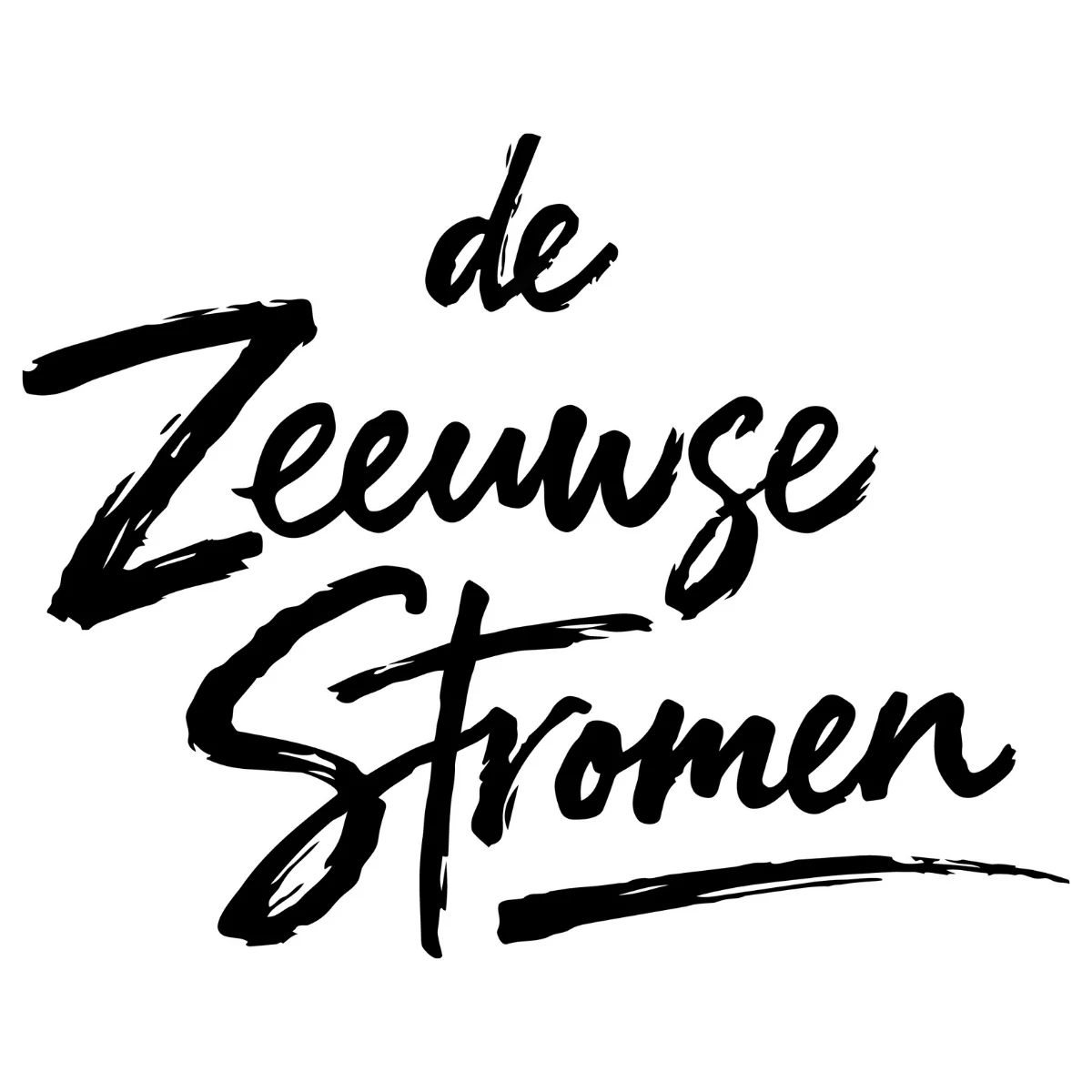 DZS - Logo vierkant zonder_SCHELPEN